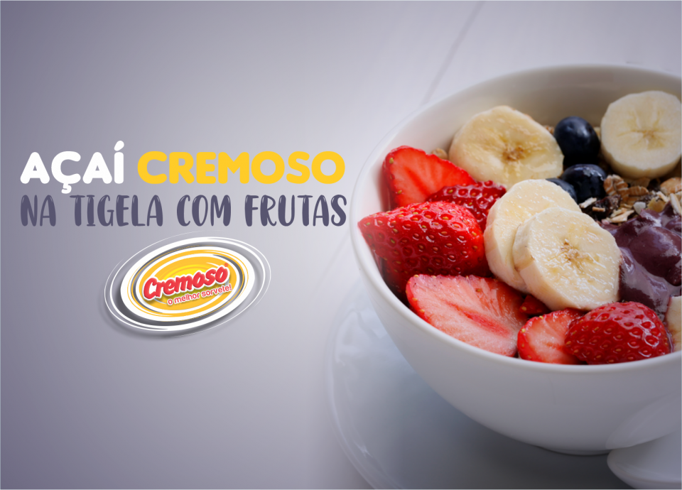 Cremoso O Melhor Sorvete Blog A A Cremoso Na Tigela Com Frutas